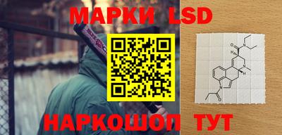 прущие грибы Краснодар