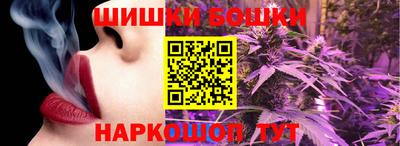 прущие грибы Краснодар