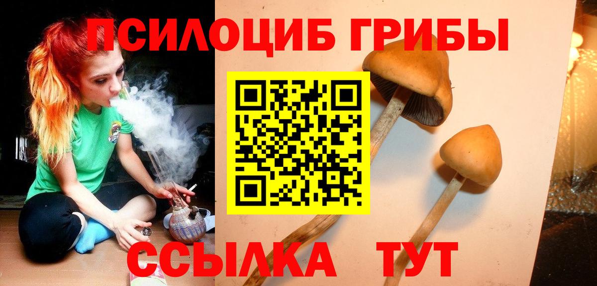 Псилоцибиновые грибы мухоморы Санкт-Петербург